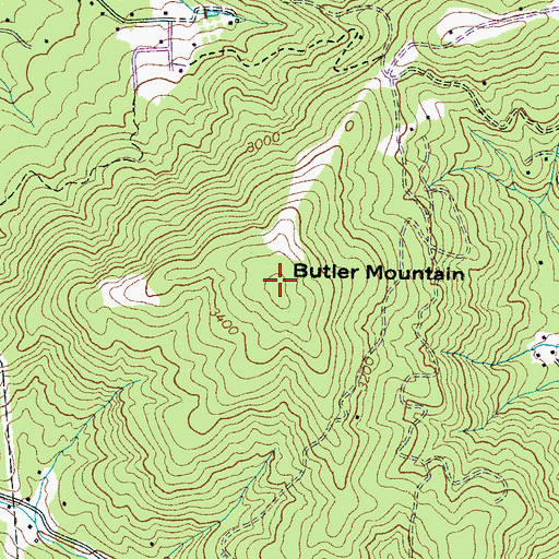 Topographic Map of Butler Mountain, NC