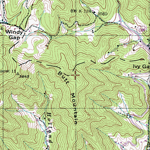Topographic Map of Butt Mountain, NC