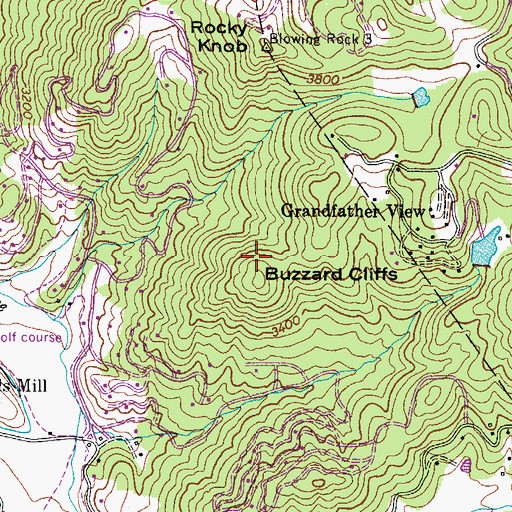 Topographic Map of Buzzard Cliffs, NC