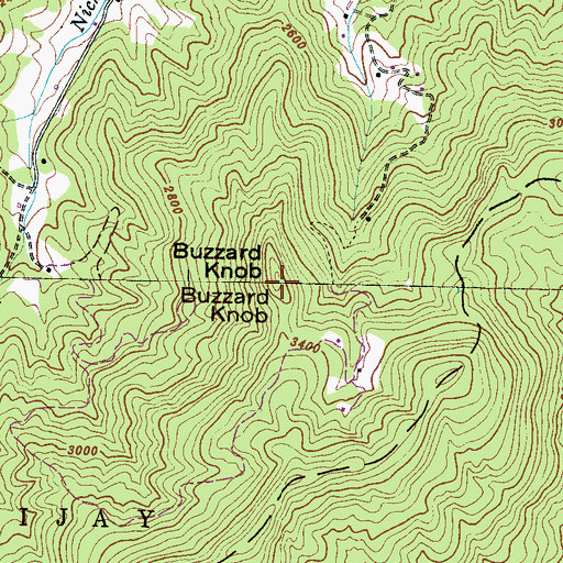 Topographic Map of Buzzard Knob, NC