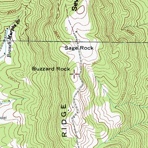 Topographic Map of Buzzard Rock, NC
