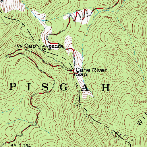 Topographic Map of Cane River Gap, NC