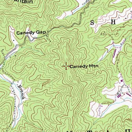 Topographic Map of Canedy Mountain, NC