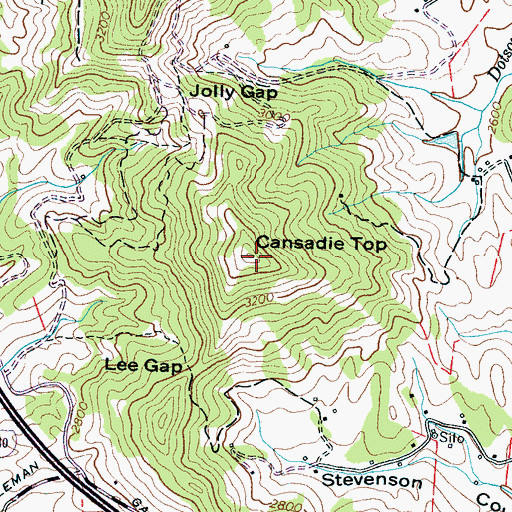 Topographic Map of Cansadie Top, NC