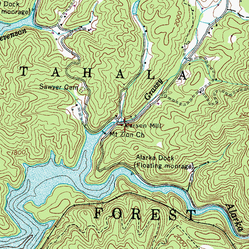 Topographic Map of Carson Mill, NC