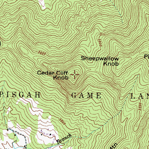 Topographic Map of Cedar Cliff Knob, NC