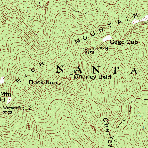 Topographic Map of Charley Bald, NC