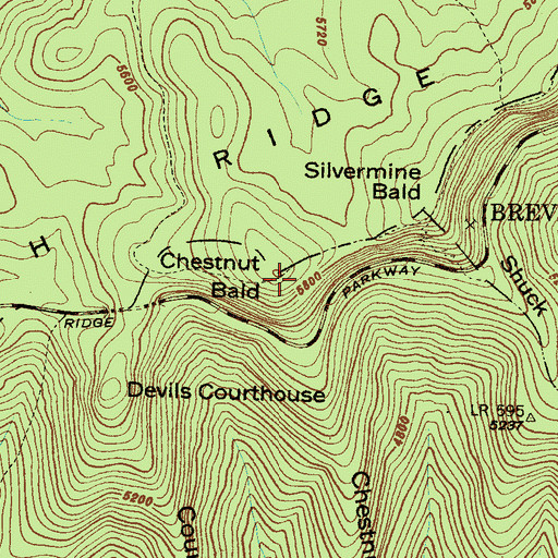 Topographic Map of Chestnut Bald, NC
