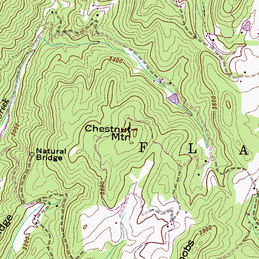 Topographic Map of Chestnut Mountain, NC
