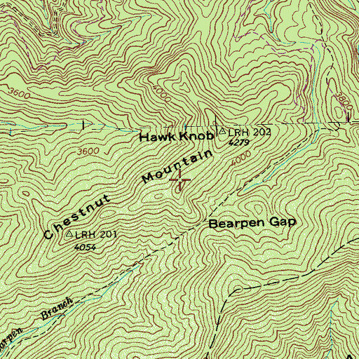 Topographic Map of Chestnut Mountain, NC