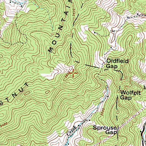 Topographic Map of Chestnut Mountain, NC