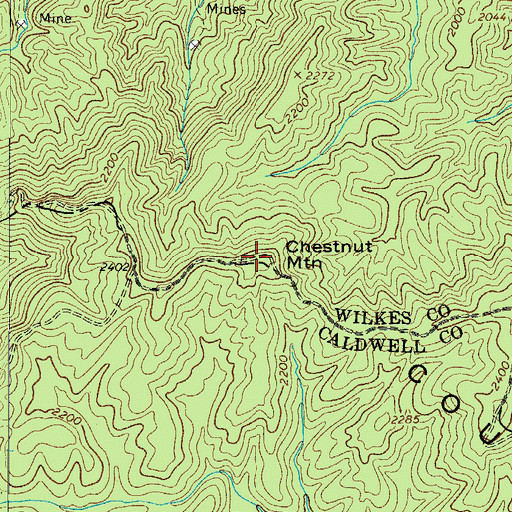 Topographic Map of Chestnut Mountain, NC