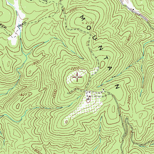 Topographic Map of Chestnut Mountain, NC