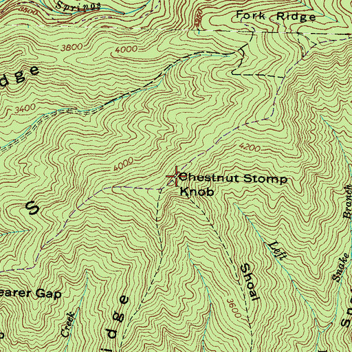 Topographic Map of Chestnut Stomp Knob, NC
