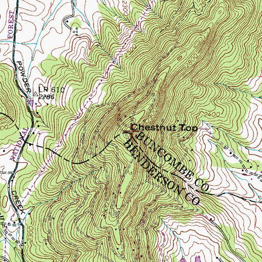 Topographic Map of Chestnut Top, NC