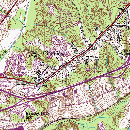 Topographic Map of Cityview, NC