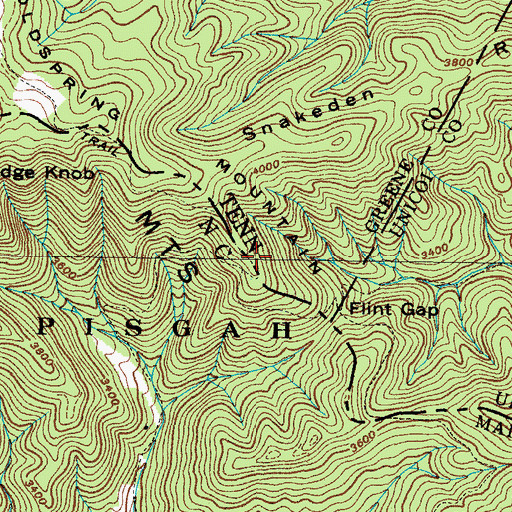 Topographic Map of Coldspring Mountain, NC