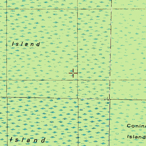 Topographic Map of Conine Island, NC