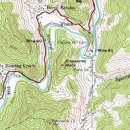 Topographic Map of Copperas Bald, NC