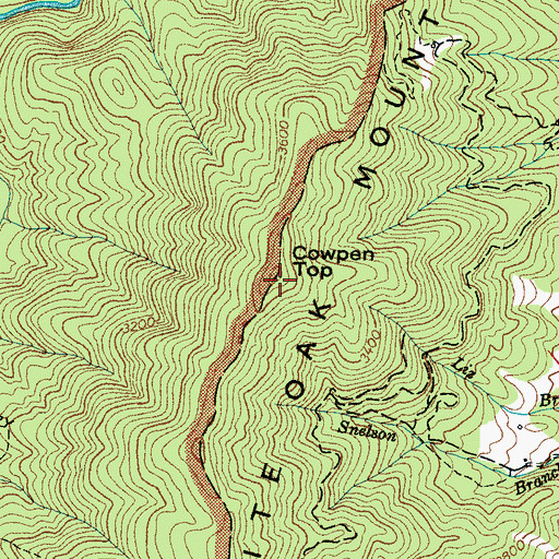 Topographic Map of Cowpen Top, NC