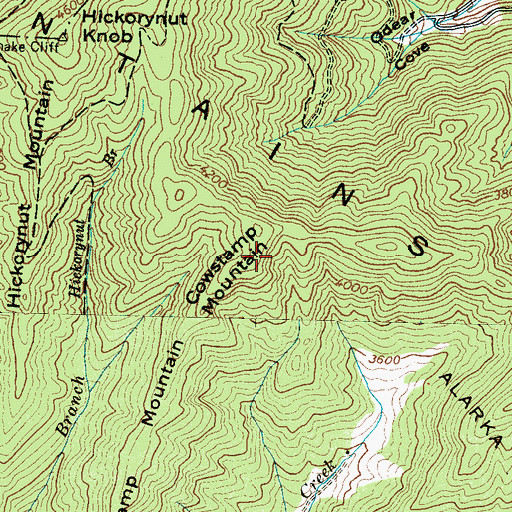 Topographic Map of Cowstamp Mountain, NC
