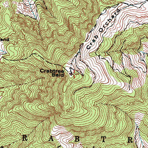 Topographic Map of Crabtree Bald, NC