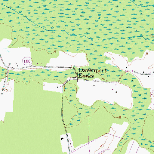 Topographic Map of Davenport Forks, NC