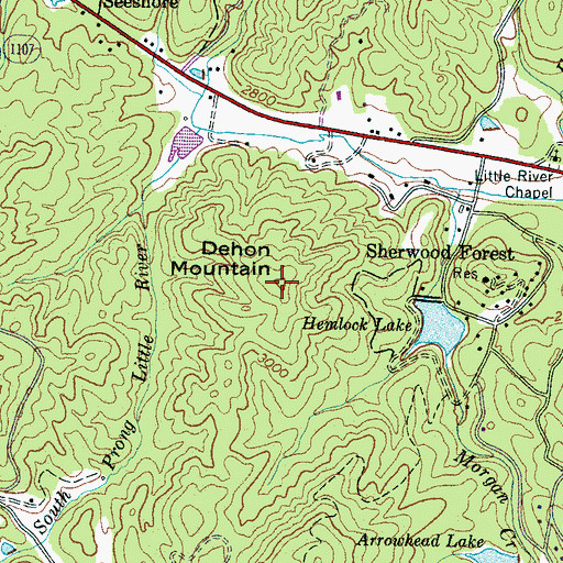 Topographic Map of Dehon Mountain, NC