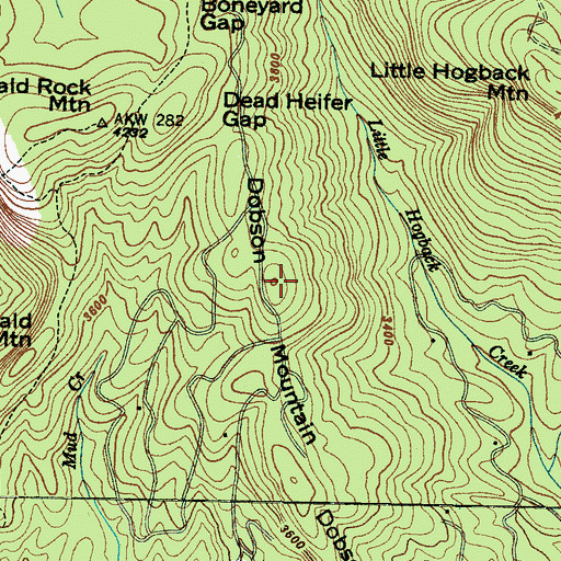 Topographic Map of Dobson Mountain, NC
