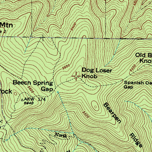 Topographic Map of Dog Loser Knob, NC