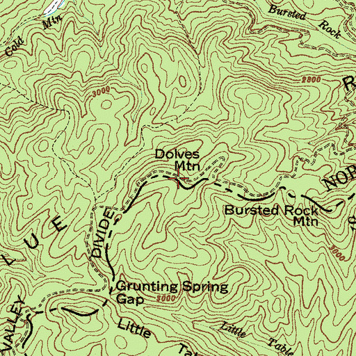Topographic Map of Dolves Mountain, NC