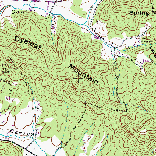 Topographic Map of Dyeleaf Mountain, NC