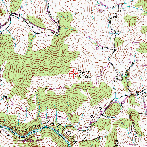 Topographic Map of Dyer Knob, NC