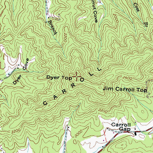 Topographic Map of Dyer Top, NC