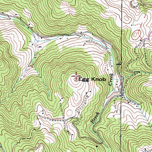 Topographic Map of Egg Knob, NC