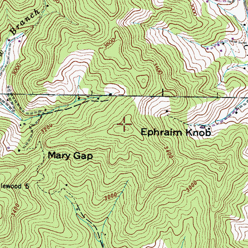 Topographic Map of Ephraim Knob, NC
