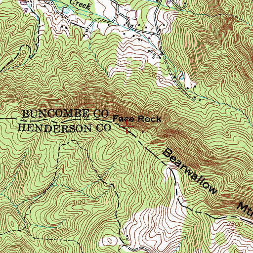 Topographic Map of Face Rock, NC