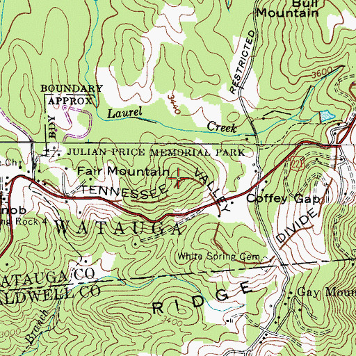 Topographic Map of Fair Mountain, NC