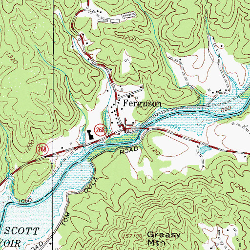 Topographic Map of Ferguson, NC