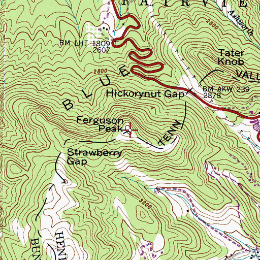Topographic Map of Ferguson Peak, NC