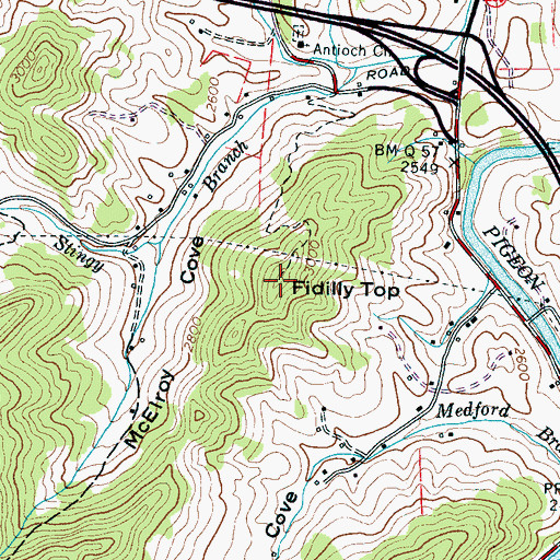 Topographic Map of Fidilly Top, NC