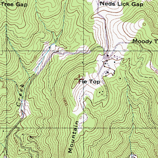 Topographic Map of Fie Top, NC