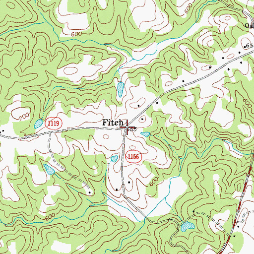 Topographic Map of Fitch, NC