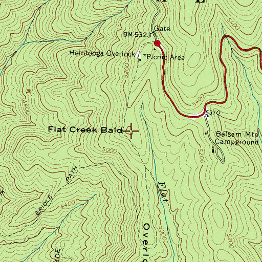 Topographic Map of Flat Creek Bald, NC