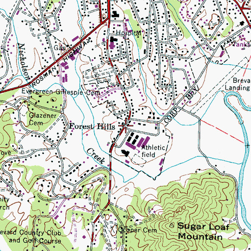 Topographic Map of Forest Hills, NC