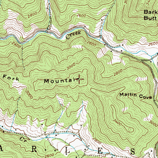 Topographic Map of Fork Mountain, NC