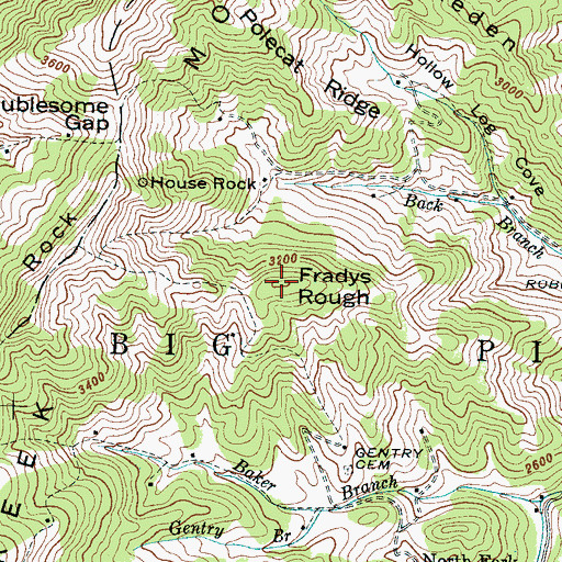 Topographic Map of Fradys Rough, NC