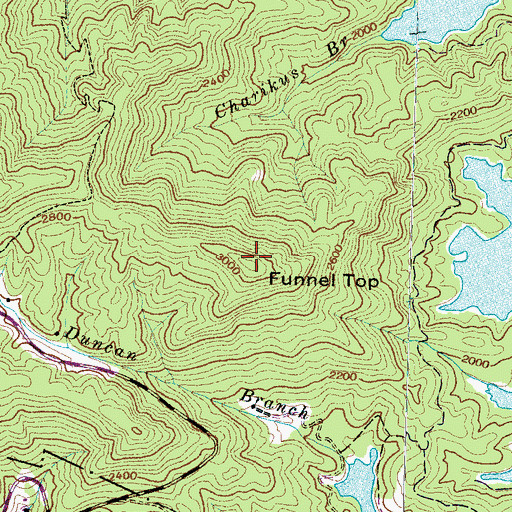 Topographic Map of Funnel Top, NC