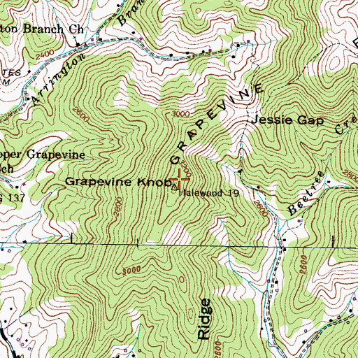 Topographic Map of Grapevine Knob, NC