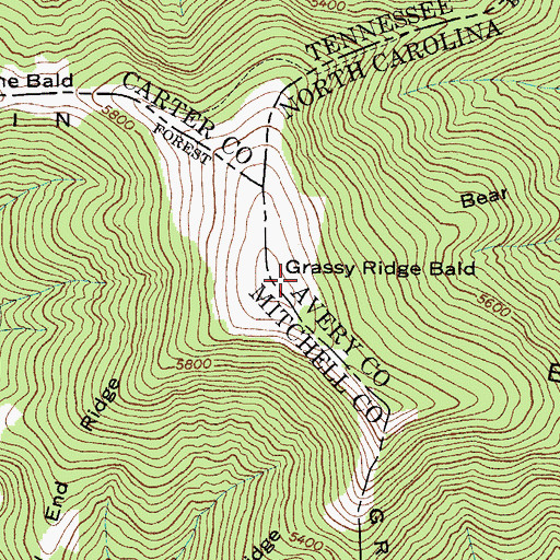 Topographic Map of Grassy Ridge Bald, NC